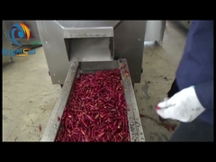 Machine de torréfaction de piments pour l'industrie agroalimentaire, capacité de 300 à 800 kg par heure