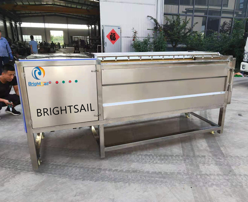 La machine à laver au gingembre de l'usine industrielle dans les machines à laver de Brightsail