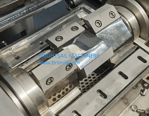 Crusher grossier de citron congelé Granules de citron congelé Machine broyeuse de nourriture machine Brightsail