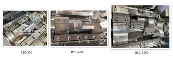 Crusher grossier de citron congelé Granules de citron congelé Machine broyeuse de nourriture machine Brightsail