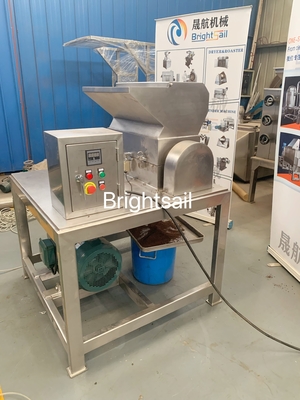 Crusher grossier de citron congelé Granules de citron congelé Machine broyeuse de nourriture machine Brightsail