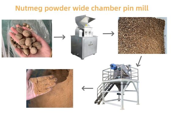 Broyeur de graines de moutarde, broyeur à broches, moulin à poudre pour graines oléagineuses et épices
