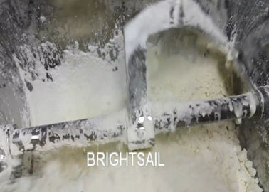 Écurie de mélange d'équipement de nourriture de poudre de machine d'arachide de pâte horizontale de sésame